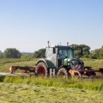 Būtina patikrinti pievą prieš šienavimą – ten gali slėptis gyvūnų jaunikliai